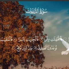 ترتيل عذب و جميل كالماء الجارى تزتيل من سوره الذاريات للشيخ الحصري رحمه الله 🌹