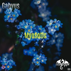 Gabyus - Myosotis (Original Intro) 2022-12-27