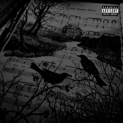 mockingbird pov (Leave Remix)