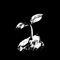 безвкусный шоколад