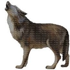 @stclaire ᵐᵒˡˡʸ ʰᵉᵃᵛᵉⁿ ˢᶜʰⁱˢᵐ (see me)