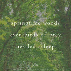 Springtime asleep (naviarhaiku565)