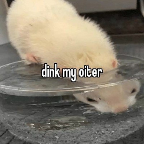 Dink My Oiter Mix