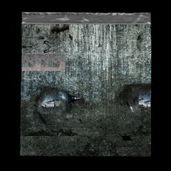 VOLK - ASYMMETRIC-LIVE