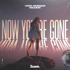Vion Konger & Nexeri - Now You're Gone
