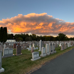 The Light From A Thousand Years-Open-Low