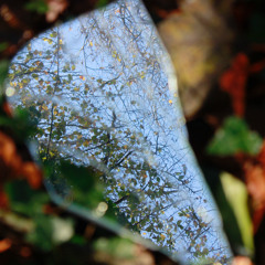 Surface