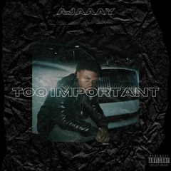 Too Important(prod.gxero)