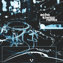 cut the kid - echo (kiwipz remix)