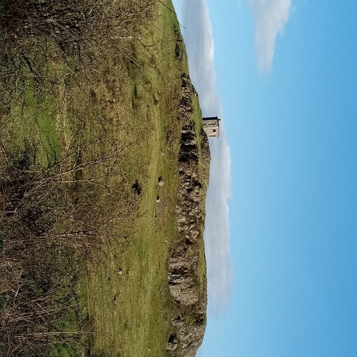 Laura Lies In (18/4/21)