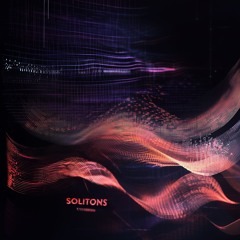 Solitons
