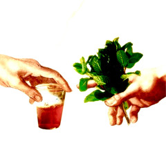 Trophies & Treasures (full ver. Spotify and Bandcamp)