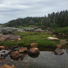 I Spilled Ice Cream on my Pants