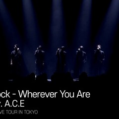 A.C.E - Wherever You Are  (One Ok Rock Cover)