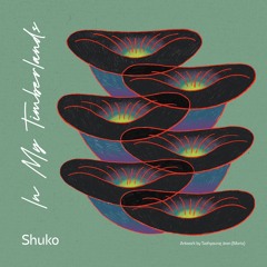 Shuko - In my Timberlands