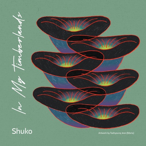 Shuko - In my Timberlands