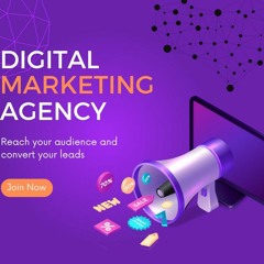 Digital Marketing Agency