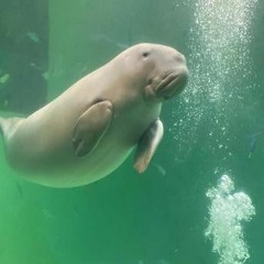 向かい風吹くたび