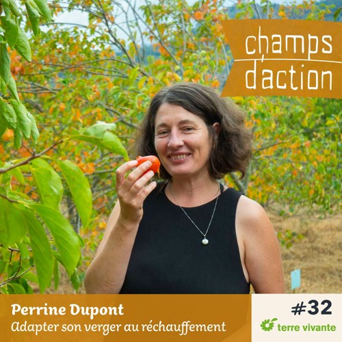 CHAMPS D'ACTION - Saison 3 - Ep.32 - Perrine Dupont, Adapter son verger au réchauffement climatique