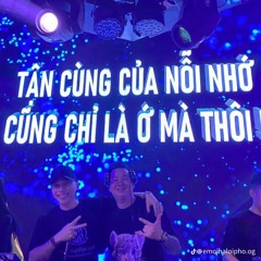 Nst - Cá Viên Chiên Rmx2k25 - CV