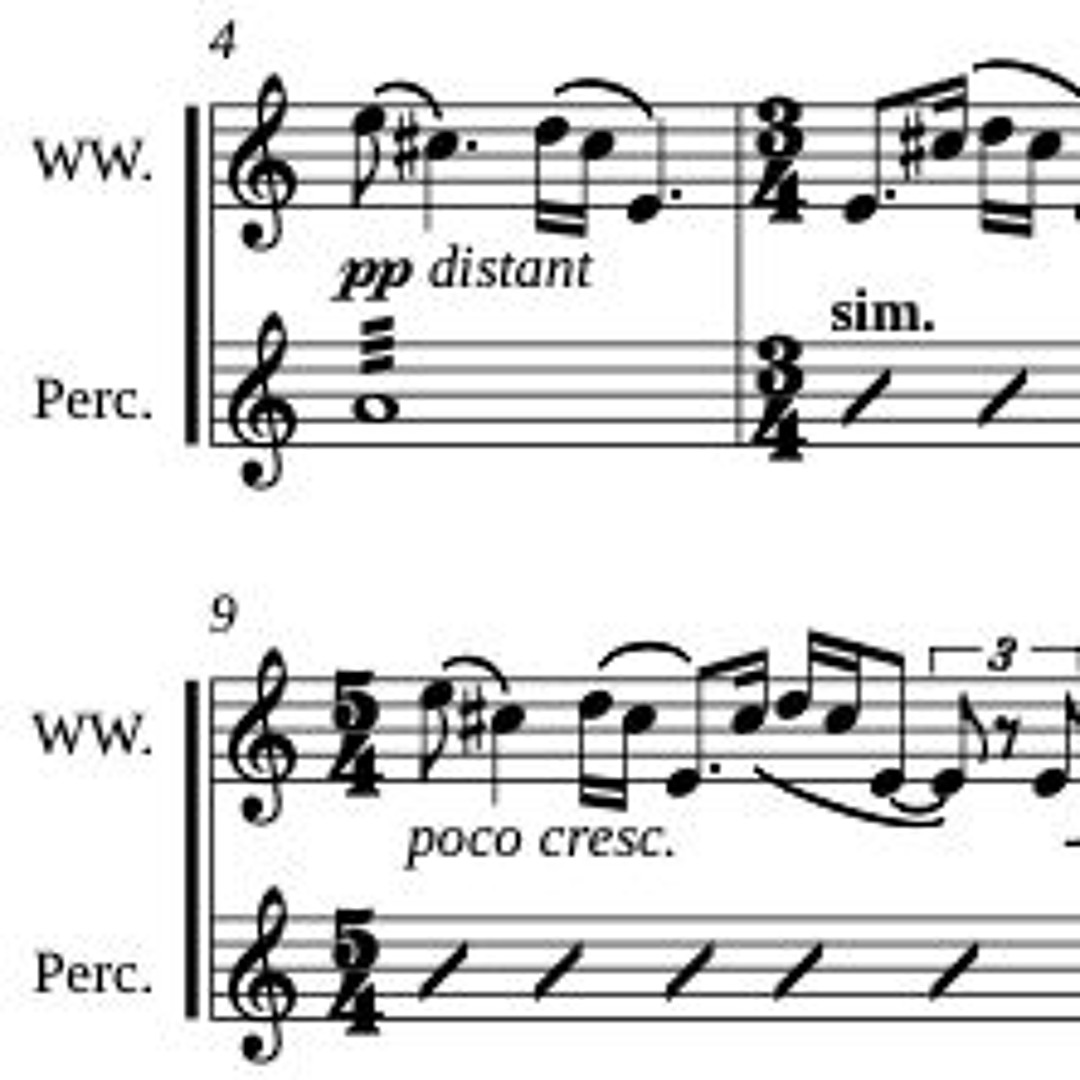 Four Meditations for Woodwind Doubler and Percussion | Noah Horowitz