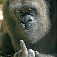 Assedio Sexual X Me Bota - Kaua Jesus, Mc Gw, Mc Vick