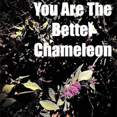 You are the better chameleon