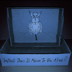 What Does It Mean To Be Alive? (meditation)