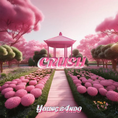 Crush - Bando