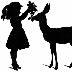 S1E4: Count the Doe - MidSeason Finale