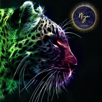 A Promise album cover