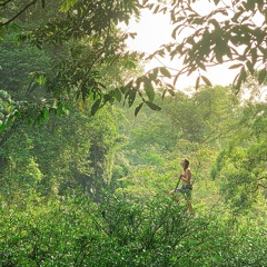 Gardens of Mind Vol. 33 // Voces de la selva