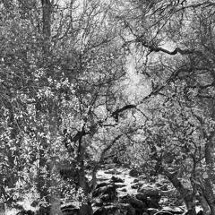 2020 solo highlights