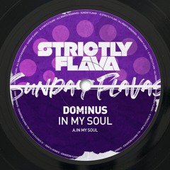 Dominus - In My Soul
