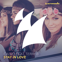 Stay In Love (Original Mix) [feat. Terri B]