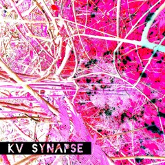 Synapse