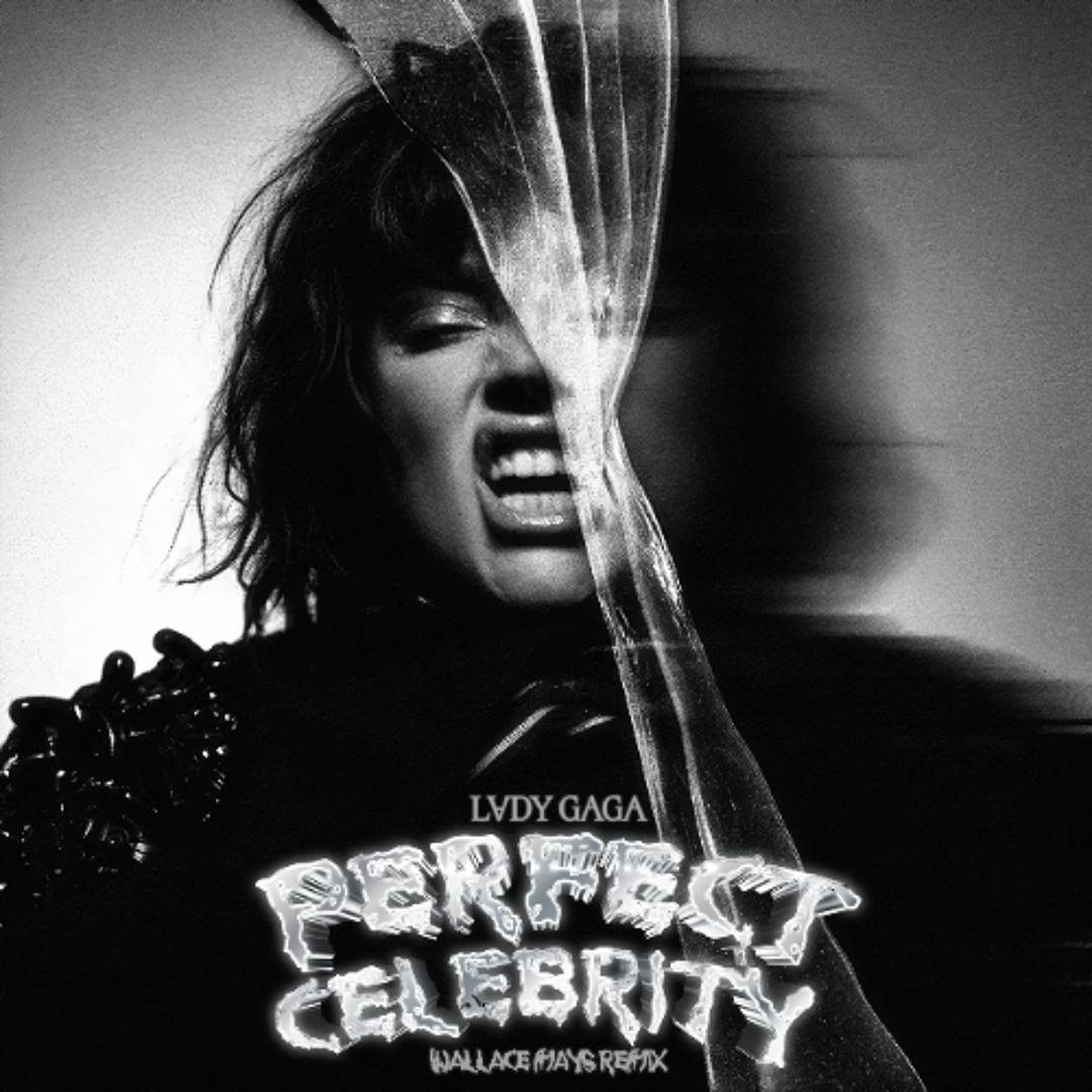 Stream Lady Gaga - Perfect Celebrity (Wallace Mays Remix) by