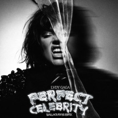 Lady Gaga - Perfect Celebrity (Wallace Mays Remix)