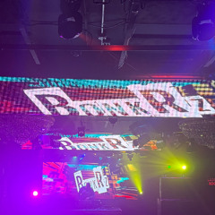 St. Pattys Bass Set (Explicit)