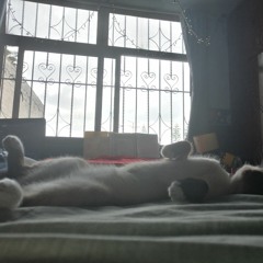 Spending Some Time In Solitude May Help To Ease Your Mind [Enjoy This Interlude...]