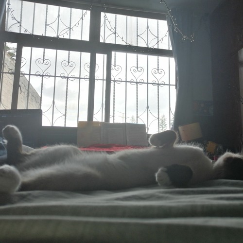 Spending Some Time In Solitude May Help To Ease Your Mind [Enjoy This Interlude...]