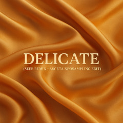 Taylor Swift - Delicate (Seeb Remix - Asceta Neosampling Edit) [2024]