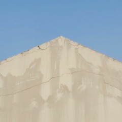 why am i still here?