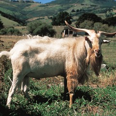 HK_Funky-Dub-Trap_tracks_22