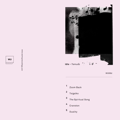 Premiere: Temudo — Zoom Back [Warm Up Recordings]