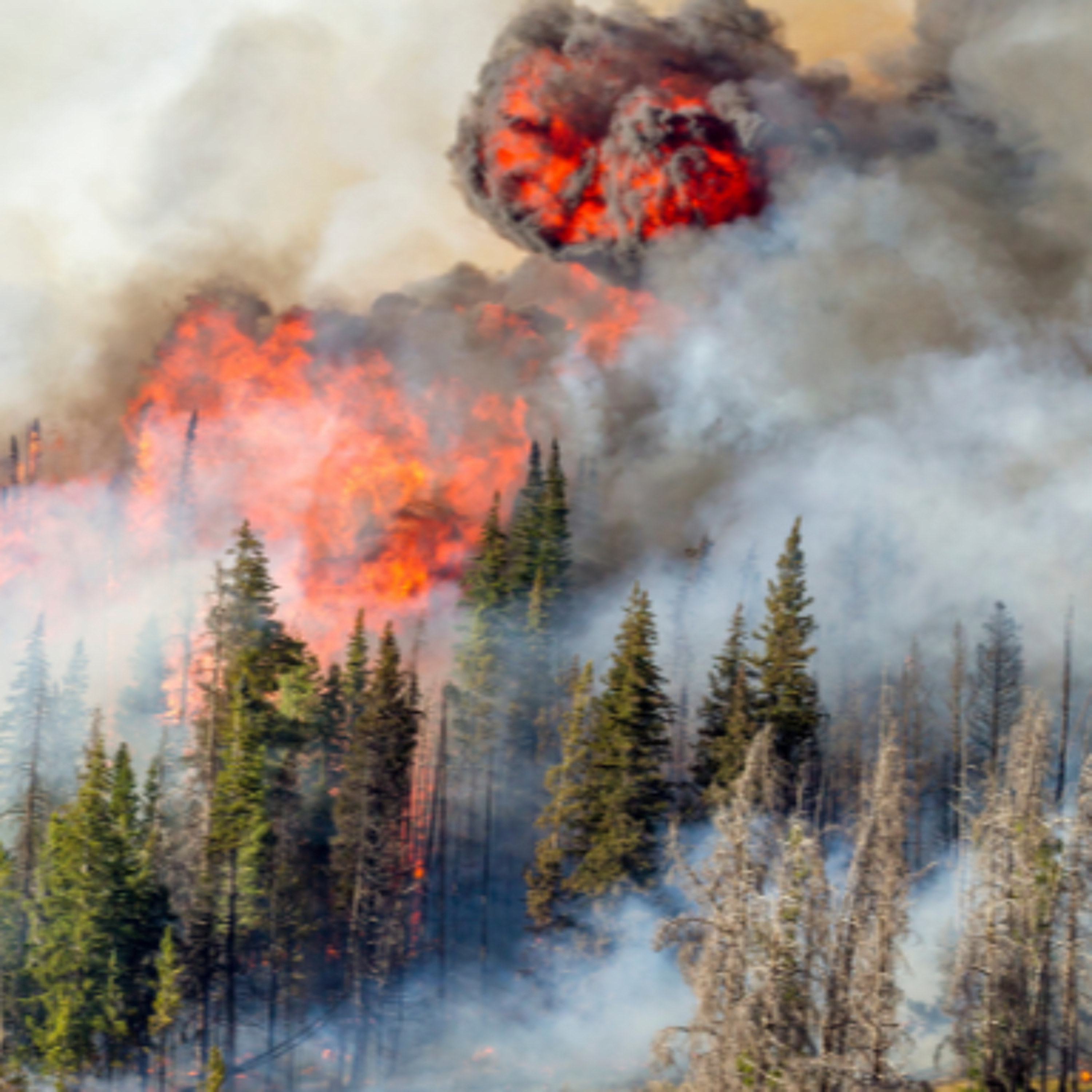 Advice For Wildfire Safety While Abroad