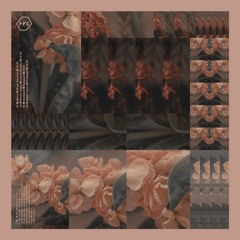 RYCL018 - Hurdslenk - Runabout