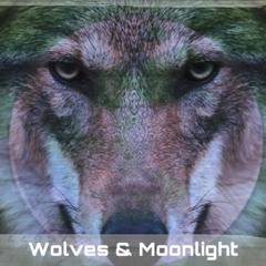 Wolves & Moonlight (progressive techno)