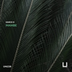 Marck D - Mambe (Original Mix) [UNITY RECORDS]
