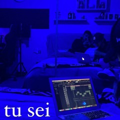 TU SEI